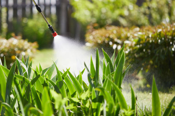 Tamper-Resistant Bait Stations for Rodents in Douglas