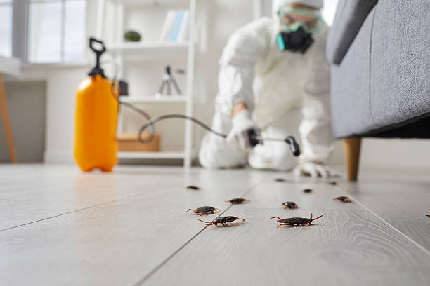 Commercial Rodent Management in Douglas